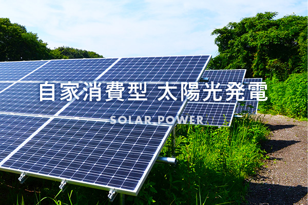 自家消費型 太陽光発電